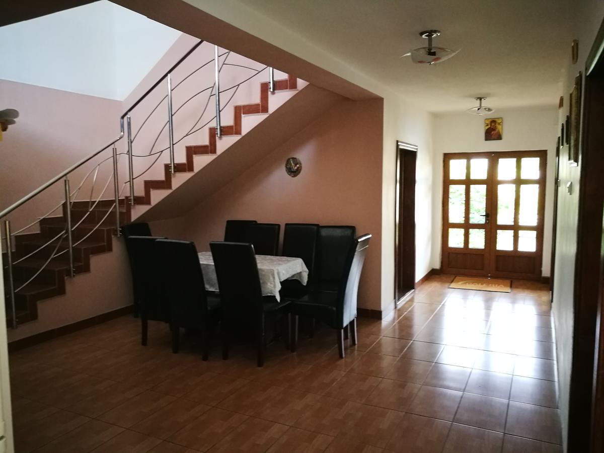 Pensiunea Ramona Carpinisu Ngoại thất bức ảnh
